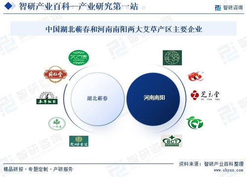 艾草行業(yè)市場動態(tài)與投資前景分析 技術創(chuàng)新驅動下的發(fā)展新機遇