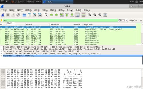 網(wǎng)絡嗅探技術在信息安全實驗中的應用與軟件開發(fā)實踐