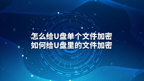 U盤文件加密指南 從單個文件到批量保護與專業軟件開發